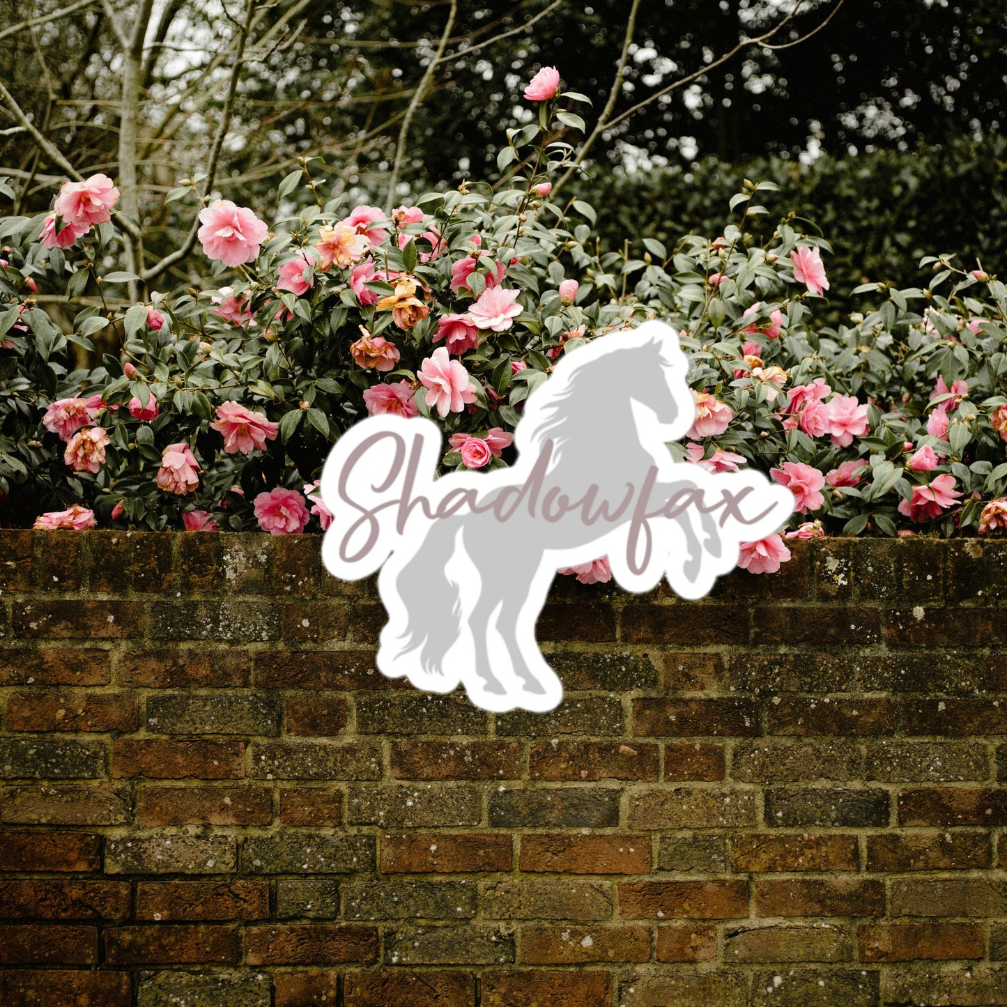 SHADOWFAX | STICKERS