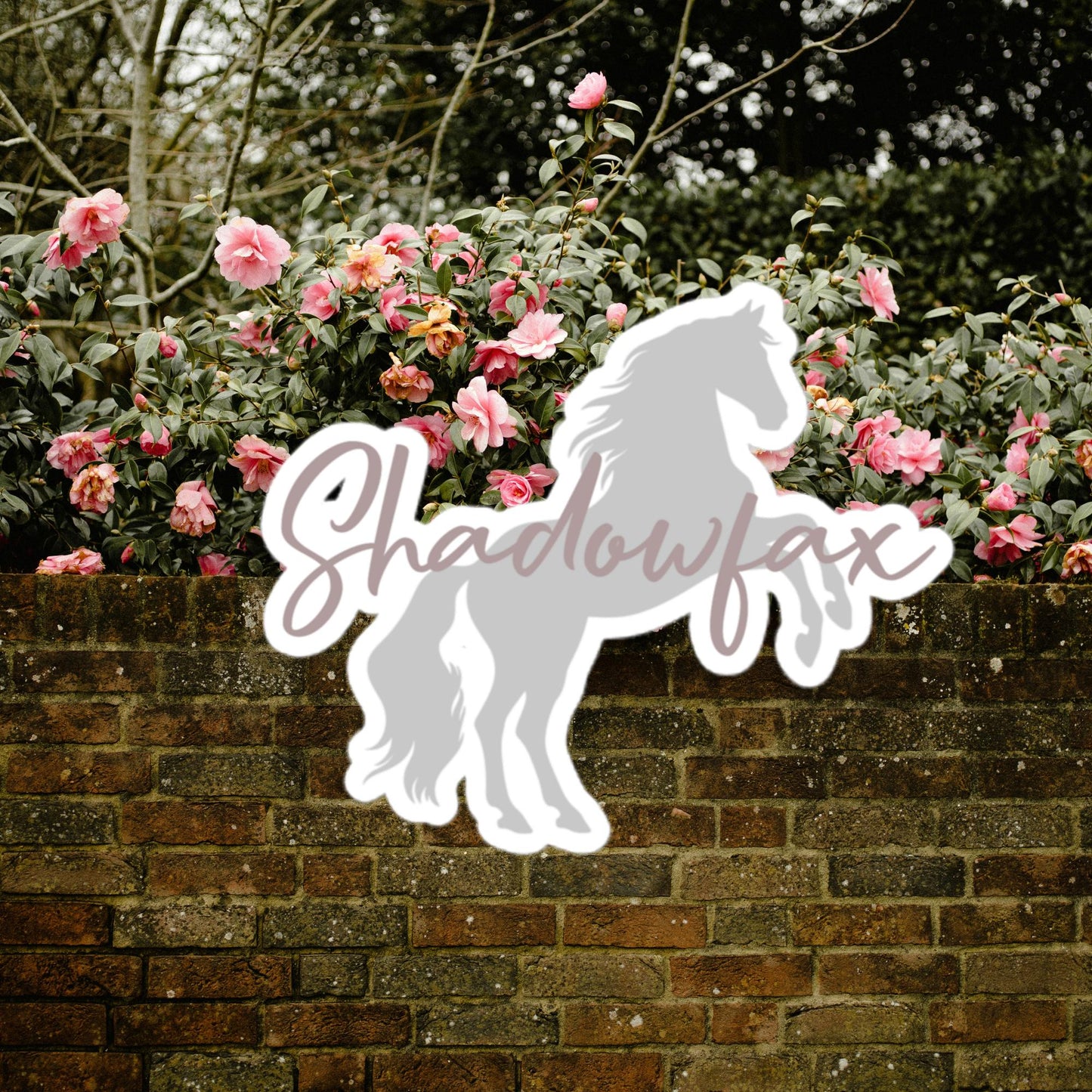 SHADOWFAX | STICKERS