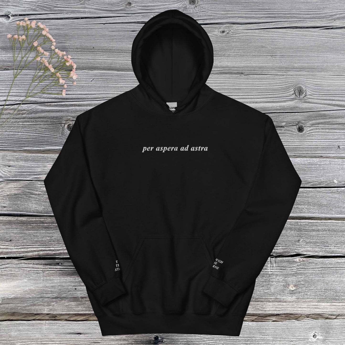 PER ASPERA AD ASTRA | hoodie