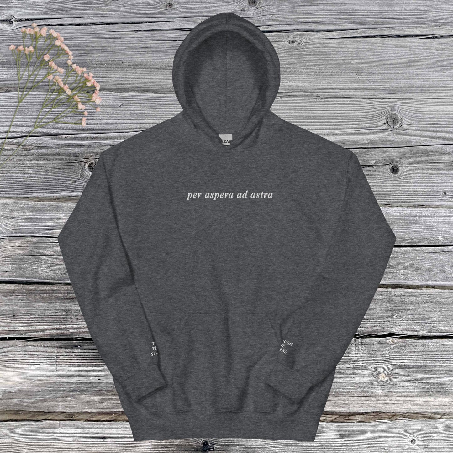 PER ASPERA AD ASTRA | hoodie