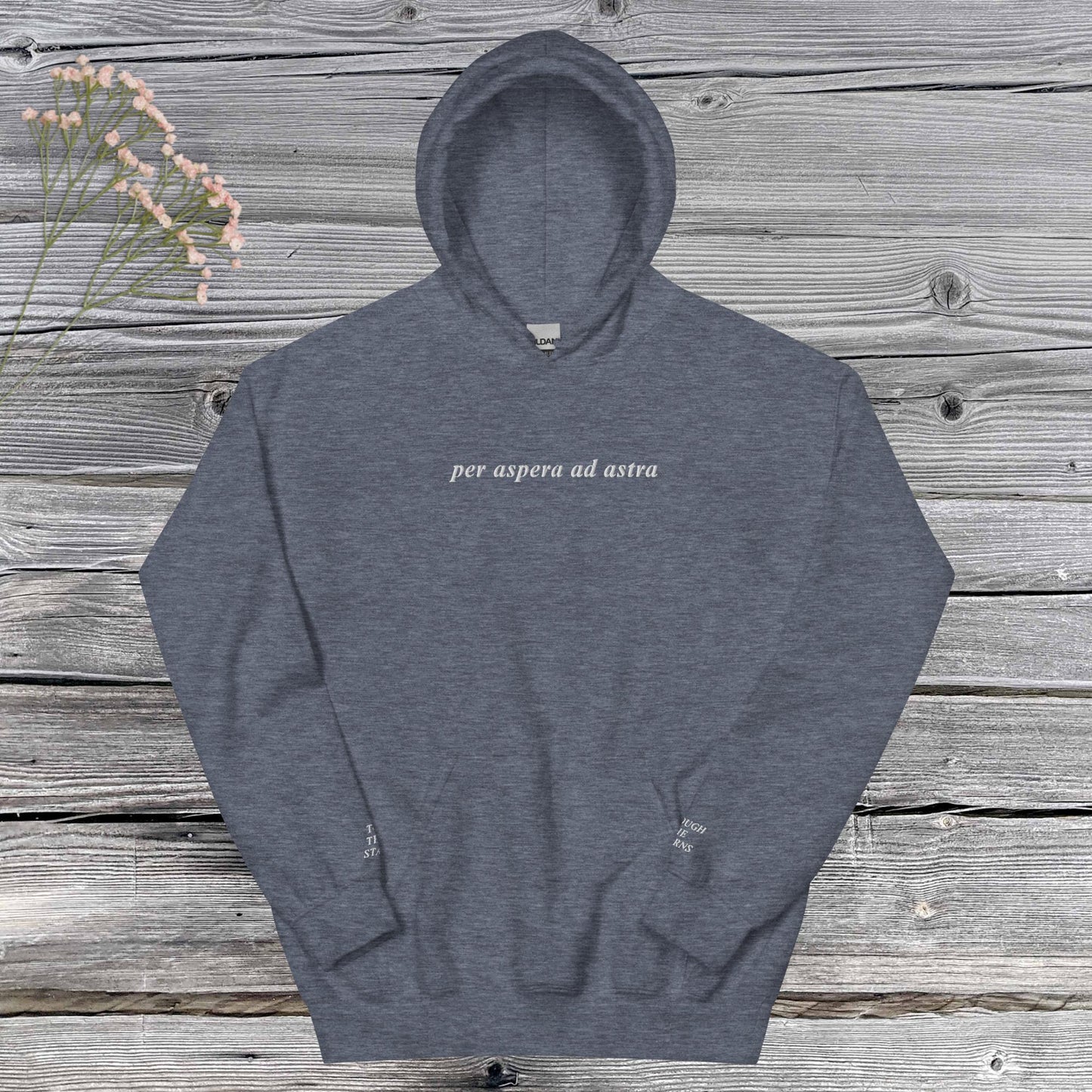 PER ASPERA AD ASTRA | hoodie