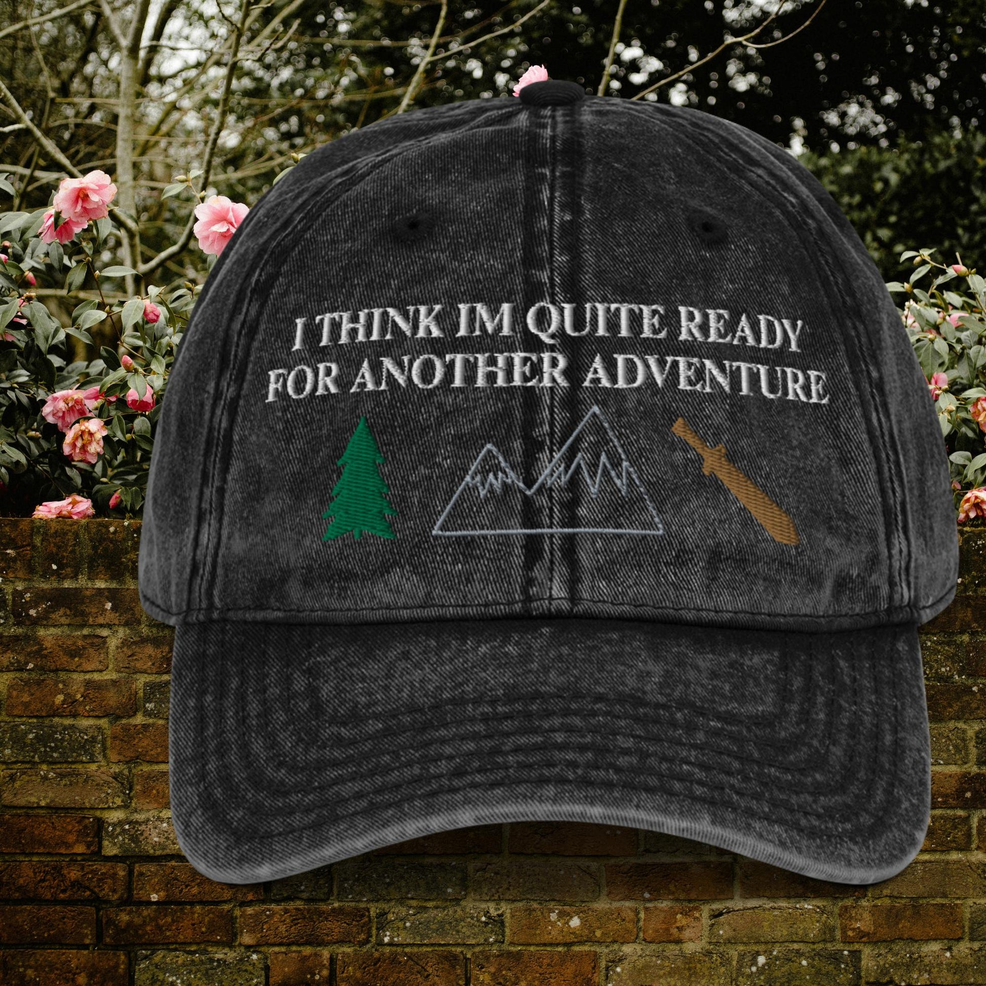 ADVENTURE vintage dad hat - Main Image